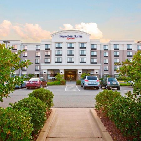 Springhill Suites Pittsburgh Mills Tarentum Экстерьер фото