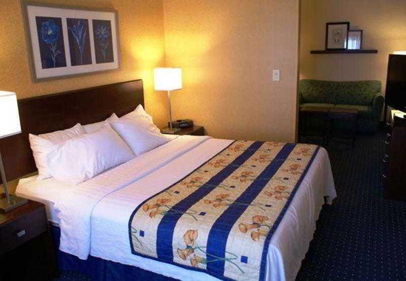 Springhill Suites Pittsburgh Mills Tarentum Номер фото